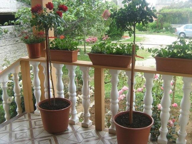 Apartment In Nin With Terrace, Air Conditioning, Wi-Fi Εξωτερικό φωτογραφία
